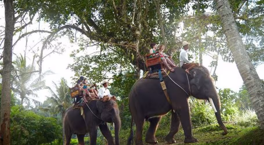 Bali Elephant Camp Bali Elephant Ride